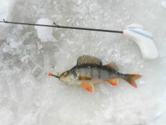 Изображение 079