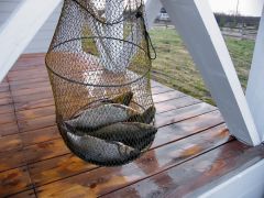 Мы не жадные