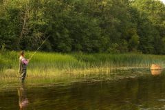 Поклевка в траве