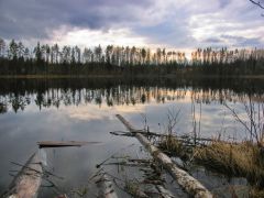 Закат на окунёвом