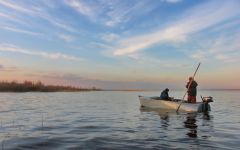 Шидрома вечер