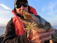 Щук и лягух