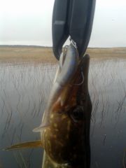 Изображение 028