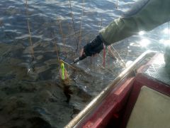 Изображение 042