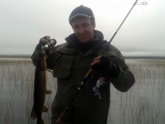 Изображение 031