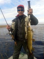 Изображение 038