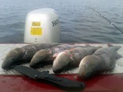 Изображение 053