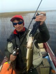 Изображение 029