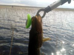 Изображение 044