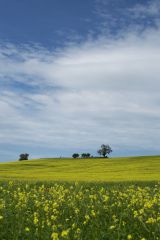 Тосканские холмы