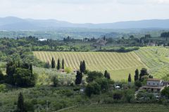 Тосканские холмы