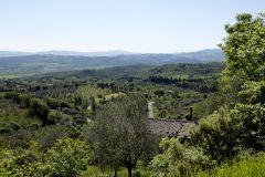 Тосканские холмы