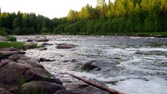 Изображение 237