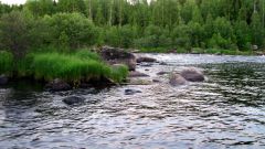 Изображение 243