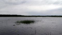 Изображение 148