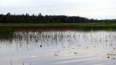 Изображение 154