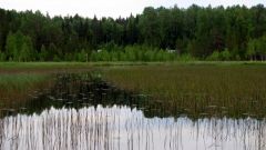 Изображение 157