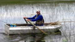 Изображение 152