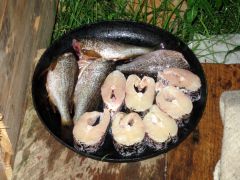 Изображение 057