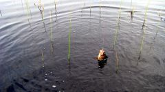 Изображение 161