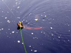 Изображение 073