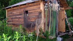 Изображение 193