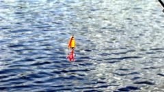 Изображение 176