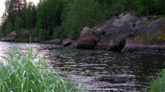 Изображение 245