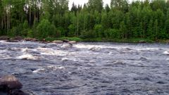 Изображение 240