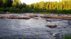 Изображение 235