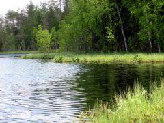 Изображение 035