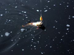 Изображение 061