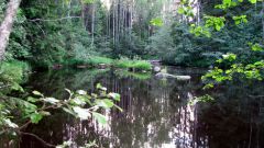 Изображение 230