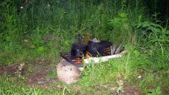 Изображение 194