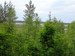 Изображение 021