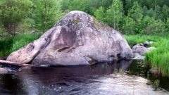 Изображение 248.jpg