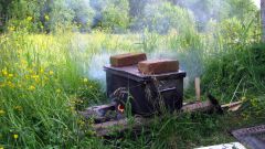 Изображение 226