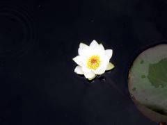 Изображение 043