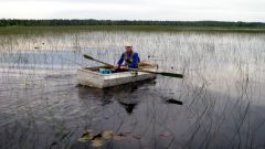 Изображение 151