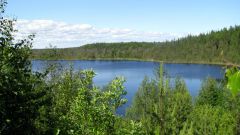 Изображение 260.jpg