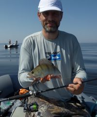 Тест резины М