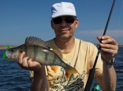 Мистиковский червь