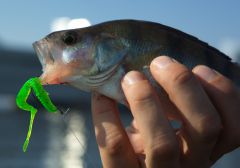 Тест резины