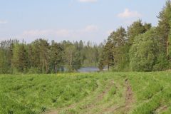 Пейзажи(Приозерский район)