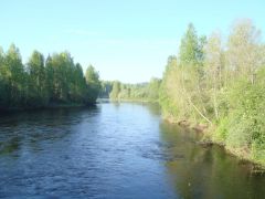 Кема с моста у п. Бонга