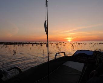 Синецкий закат