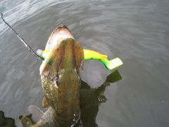 атака резины поперек