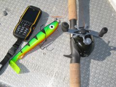 мега резина - еще некусанная