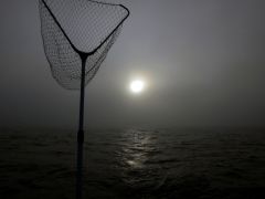 Ладожское озеро, утро, туман.