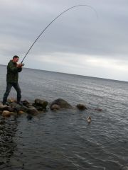 онега лещ001